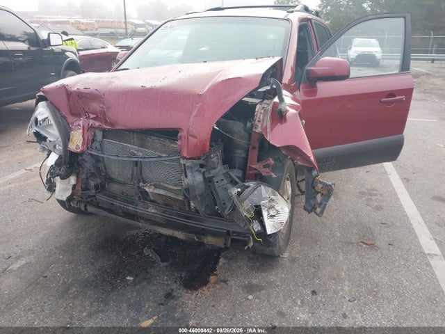 2005 Hyundai Tucson Gls/lx მანქანა იყიდება აუქციონზე, vin: KM8JN72D55U166430, აუქციონის ნომერი: 46000442