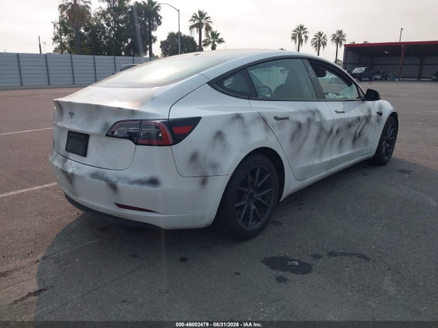 Tesla Model 3 Rear-wheel Drive 2023 5YJ3E1EA4PF396905 Image 4