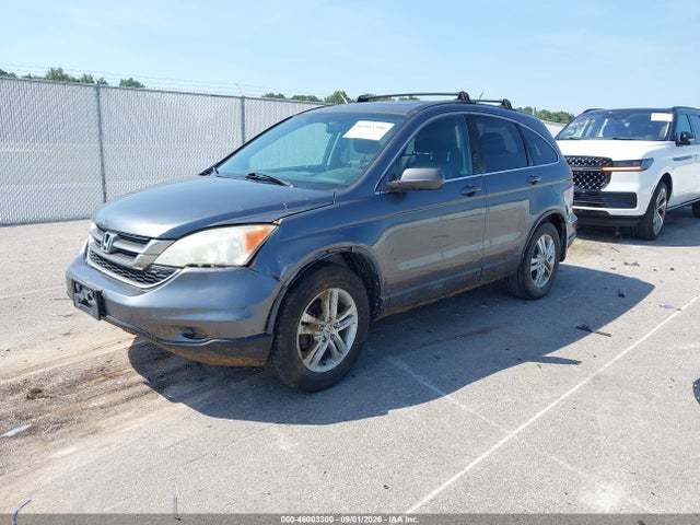 Продажа на аукционе авто 2010 Honda Cr-v Ex-l, vin: 5J6RE4H79AL010554, номер лота: 46003300