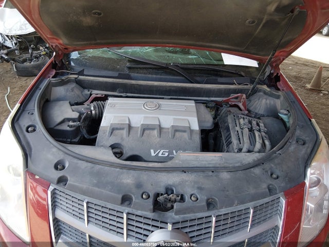 Продаж на аукціоні авто 2010 Cadillac Srx Luxury Collection, vin: 3GYFNAEY8AS566458, номер лоту: 46003703