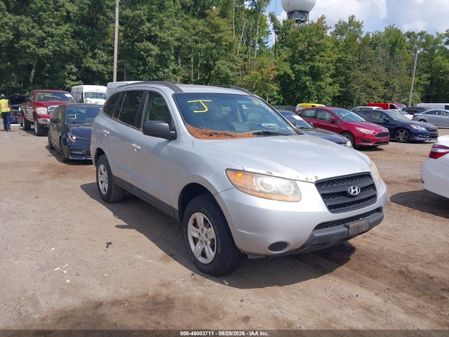 Продажа на аукционе авто 2009 Hyundai Santa Fe Gls, vin: 5NMSG13D29H320765, номер лота: 46003711