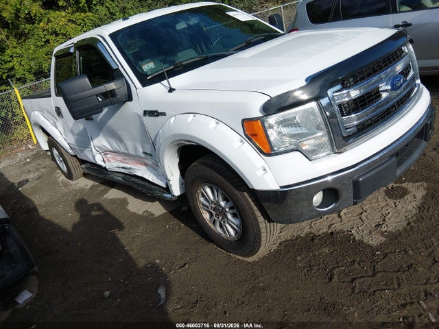 46003716 :رقم المزاد ، 1FTVW1ET8EKE66882 vin ، 2014 Ford F-150 Xlt مزاد بيع