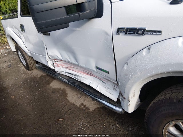 46003716 :رقم المزاد ، 1FTVW1ET8EKE66882 vin ، 2014 Ford F-150 Xlt مزاد بيع