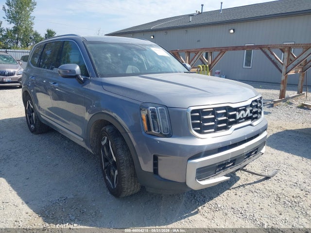 Auction sale of the 2023 Kia Telluride S, vin: 5XYP6DGC6PG336910, lot number: 46004215