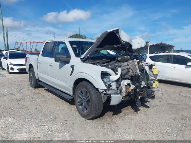 46004633 :رقم المزاد ، 1FTEW1C82PFA57349 vin ، 2023 Ford F-150 Xlt مزاد بيع
