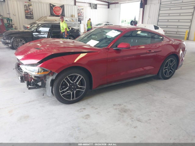 46004777 :رقم المزاد ، 1FA6P8TH0L5166859 vin ، 2020 Ford Mustang Ecoboost Fastback مزاد بيع
