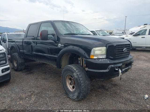 Auction sale of the 2004 Ford F-250 Lariat/xl/xlt, vin: 1FTNW21P04EC97694, lot number: 46007320