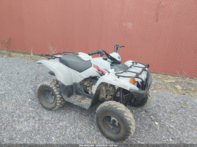 Yamaha YFM90 2023 RF3AB13E2PT005719 main image