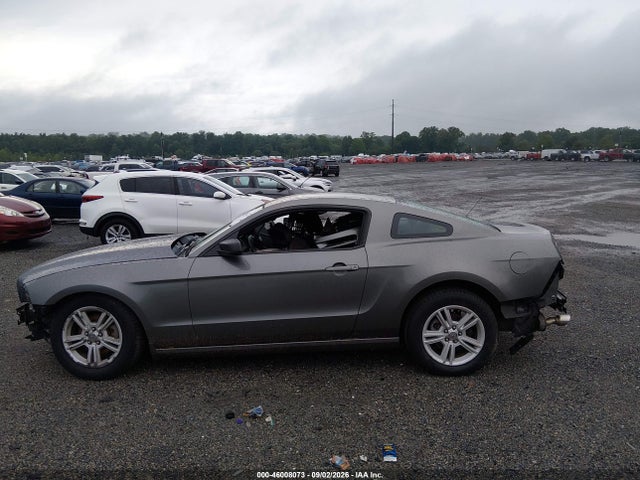 2013 Ford Mustang V6 მანქანა იყიდება აუქციონზე, vin: 1ZVBP8AM0D5268797, აუქციონის ნომერი: 46008073
