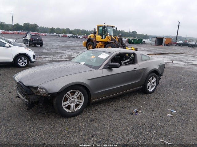 2013 Ford Mustang V6 მანქანა იყიდება აუქციონზე, vin: 1ZVBP8AM0D5268797, აუქციონის ნომერი: 46008073