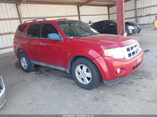 46008409 :رقم المزاد ، 1FMCU0DG1AKA36144 vin ، 2010 Ford Escape Xlt مزاد بيع
