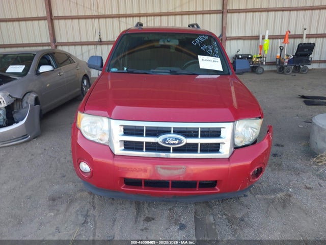 46008409 :رقم المزاد ، 1FMCU0DG1AKA36144 vin ، 2010 Ford Escape Xlt مزاد بيع