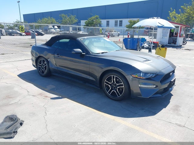 2019 1FATP8UHXK5106443 main image