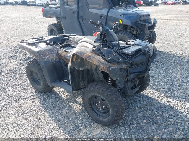 Продаж на аукціоні авто 2022 Honda Trx420 Fm, vin: 1HFTE40B6N4800203, номер лоту: 46008910