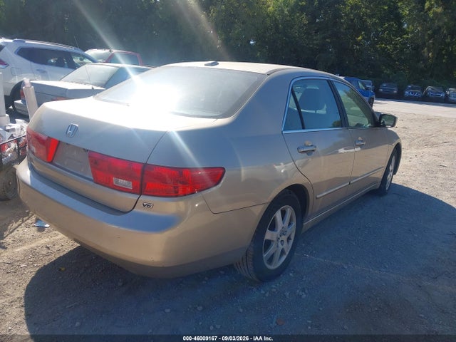 46009167 :رقم المزاد ، 1HGCM665X5A007807 vin ، 2005 Honda Accord 3.0 Ex مزاد بيع