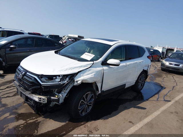 Aukcja sprzedaży 2020 Honda Cr-v 2wd Ex-l, vin: 7FARW1H87LE024635, numer aukcji: 46009542