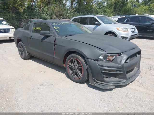 Продажа на аукционе авто 2010 Ford Mustang V6, vin: 1ZVBP8AN8A5131692, номер лота: 46012890