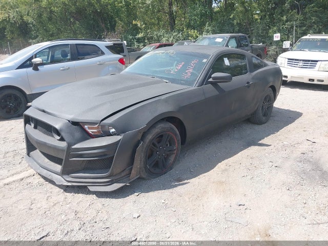 Продажа на аукционе авто 2010 Ford Mustang V6, vin: 1ZVBP8AN8A5131692, номер лота: 46012890