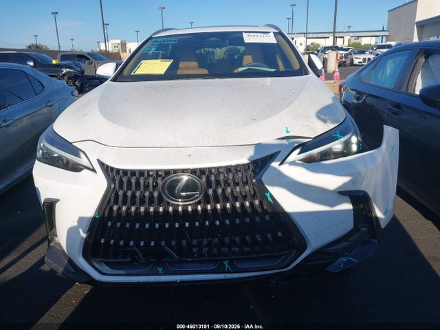 Продажа на аукционе авто 2026 Lexus Nx 350, vin: 2T2AGCEZ0TC107841, номер лота: 46013191