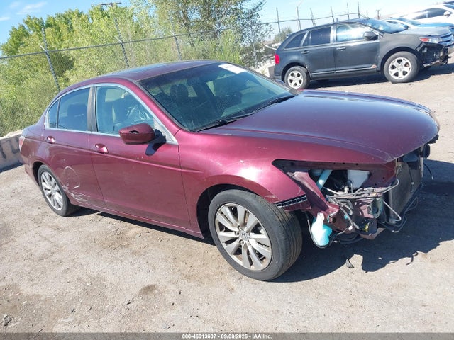 Продажа на аукционе авто 2012 Honda Accord 2.4 Ex-l, vin: 1HGCP2F80CA141023, номер лота: 46013607
