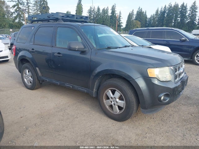 Продаж на аукціоні авто 2009 Ford Escape Xlt, vin: 1FMCU03769KD07681, номер лоту: 46013881