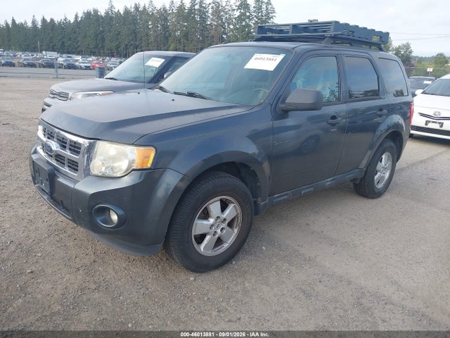 Продаж на аукціоні авто 2009 Ford Escape Xlt, vin: 1FMCU03769KD07681, номер лоту: 46013881
