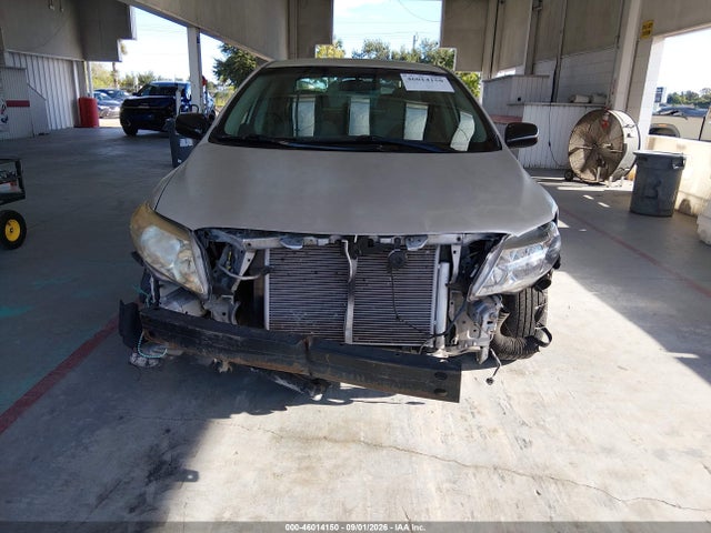 46014150 :رقم المزاد ، 2T1BU4EE4AC503630 vin ، 2010 Toyota Corolla Le مزاد بيع