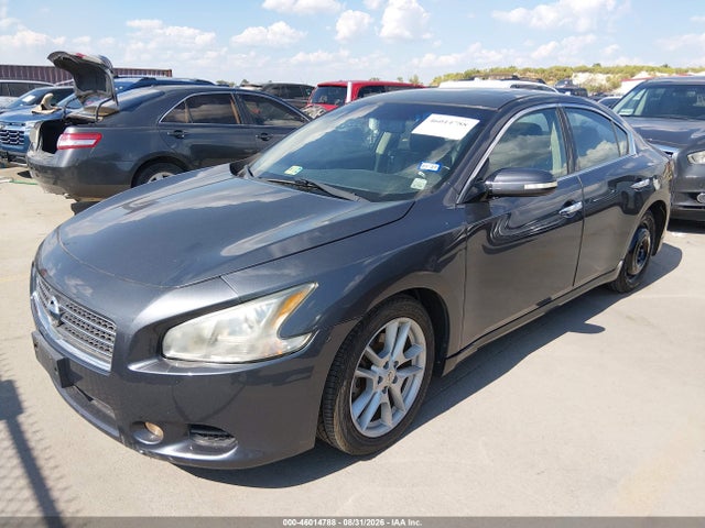 46014788 :رقم المزاد ، 1N4AA5APXAC842117 vin ، 2010 Nissan Maxima 3.5 Sv مزاد بيع