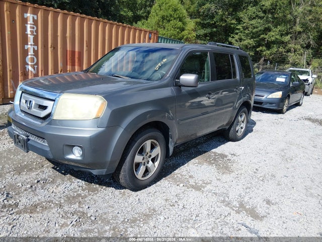46014858 :رقم المزاد ، 5FNYF3H60BB005506 vin ، 2011 Honda Pilot Ex-l مزاد بيع