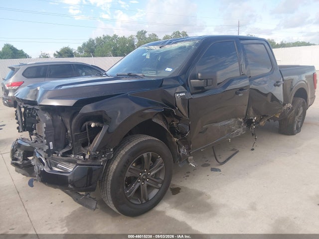 1FTEW1C51PFC56737 Ford F-150 Xlt
