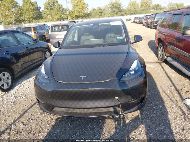 Продаж на аукціоні авто 2025 Tesla Model Y Long Range Dual Motor Rear-wheel Drive, vin: 7SAYGDED2SF227571, номер лоту: 46015346