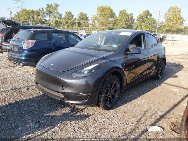 Продаж на аукціоні авто 2025 Tesla Model Y Long Range Dual Motor Rear-wheel Drive, vin: 7SAYGDED2SF227571, номер лоту: 46015346