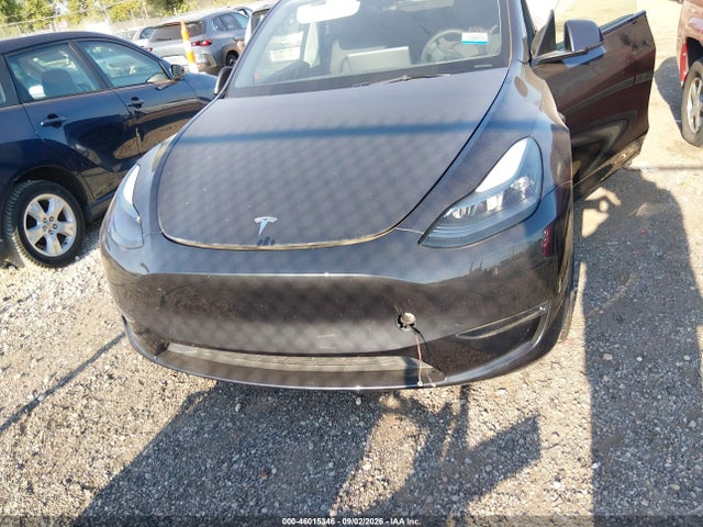 Продаж на аукціоні авто 2025 Tesla Model Y Long Range Dual Motor Rear-wheel Drive, vin: 7SAYGDED2SF227571, номер лоту: 46015346