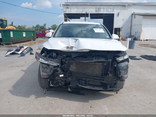 Aukcja sprzedaży 2020 Hyundai Santa Fe Sel, vin: 5NMS3CAD4LH237419, numer aukcji: 46015935