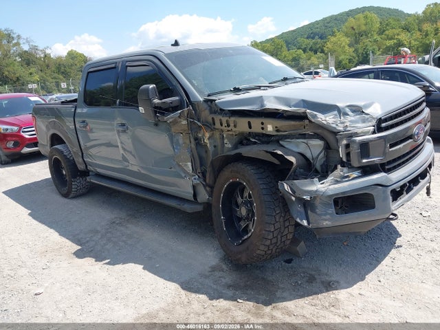 46016163 :رقم المزاد ، 1FTEW1E43KFC35126 vin ، 2019 Ford F-150 Xlt مزاد بيع