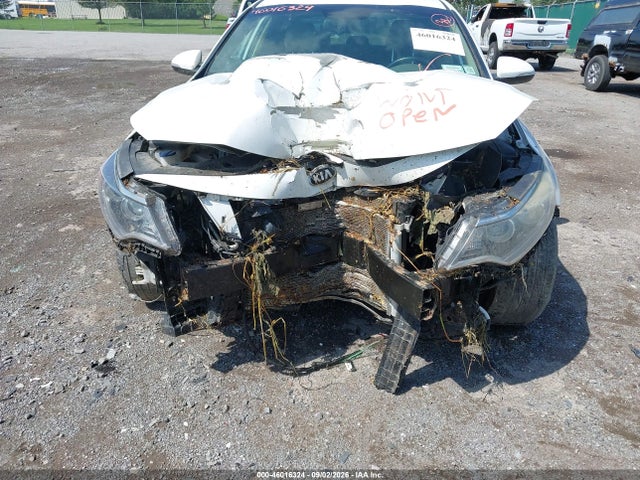 2017 Kia Optima Ex მანქანა იყიდება აუქციონზე, vin: 5XXGU4L34HG123021, აუქციონის ნომერი: 46016324