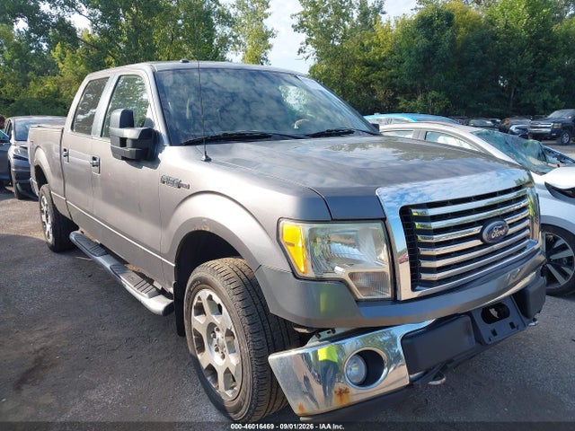 46016469 :رقم المزاد ، 1FTFW1EV8AFD14089 vin ، 2010 Ford F-150 مزاد بيع