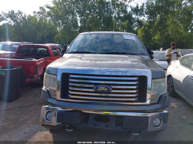 46016469 :رقم المزاد ، 1FTFW1EV8AFD14089 vin ، 2010 Ford F-150 مزاد بيع