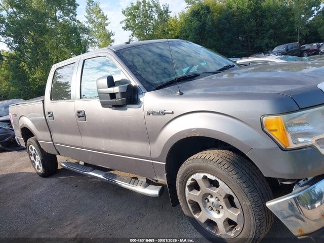 46016469 :رقم المزاد ، 1FTFW1EV8AFD14089 vin ، 2010 Ford F-150 مزاد بيع