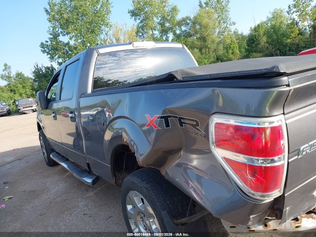 46016469 :رقم المزاد ، 1FTFW1EV8AFD14089 vin ، 2010 Ford F-150 مزاد بيع