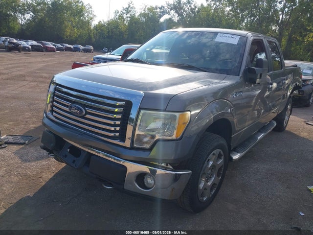 46016469 :رقم المزاد ، 1FTFW1EV8AFD14089 vin ، 2010 Ford F-150 مزاد بيع