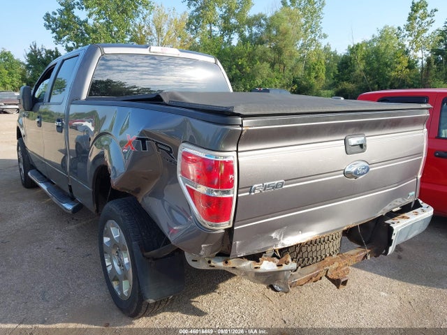 46016469 :رقم المزاد ، 1FTFW1EV8AFD14089 vin ، 2010 Ford F-150 مزاد بيع
