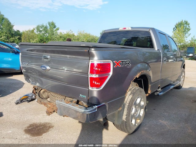 46016469 :رقم المزاد ، 1FTFW1EV8AFD14089 vin ، 2010 Ford F-150 مزاد بيع