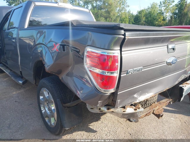 46016469 :رقم المزاد ، 1FTFW1EV8AFD14089 vin ، 2010 Ford F-150 مزاد بيع