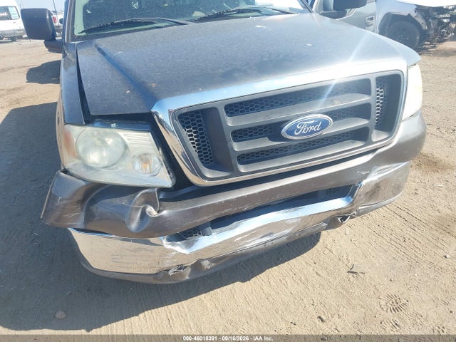 Продажа на аукционе авто 2004 Ford F-150 Stx/xl/xlt, vin: 1FTRF12W54NC55510, номер лота: 46018391