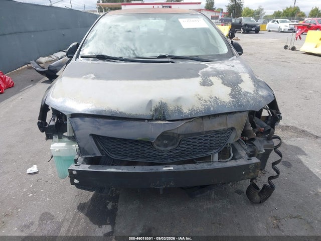 46018591 :رقم المزاد ، 1NXBU4EE6AZ249935 vin ، 2010 Toyota Corolla S مزاد بيع
