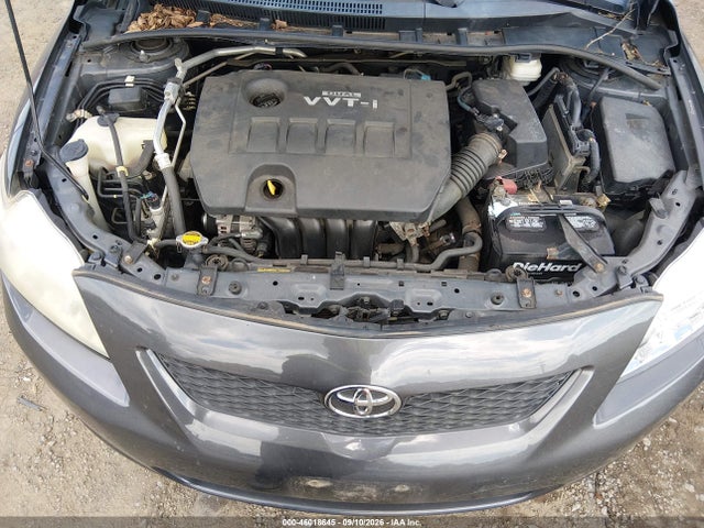 46018645 :رقم المزاد ، 2T1BU4EE4AC203196 vin ، 2010 Toyota Corolla Le مزاد بيع
