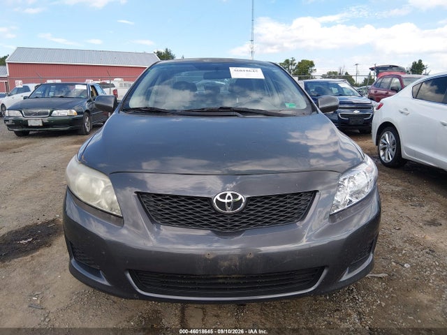 46018645 :رقم المزاد ، 2T1BU4EE4AC203196 vin ، 2010 Toyota Corolla Le مزاد بيع