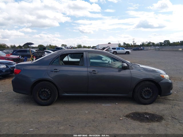 46018645 :رقم المزاد ، 2T1BU4EE4AC203196 vin ، 2010 Toyota Corolla Le مزاد بيع