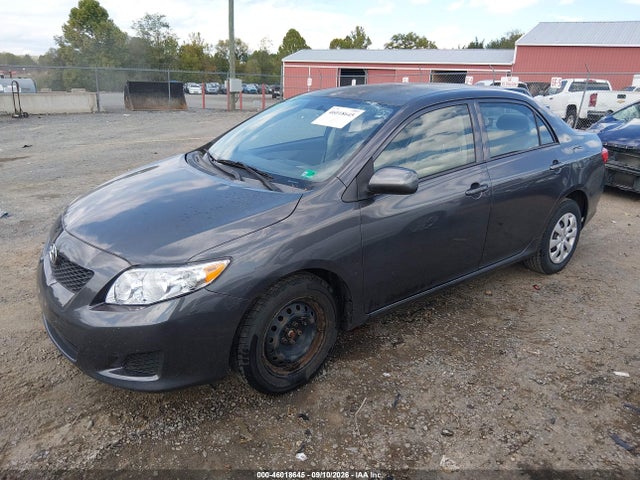 46018645 :رقم المزاد ، 2T1BU4EE4AC203196 vin ، 2010 Toyota Corolla Le مزاد بيع